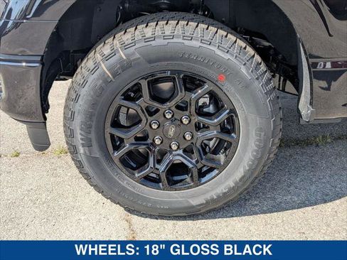 New 2026 Ford F150 STX image 9