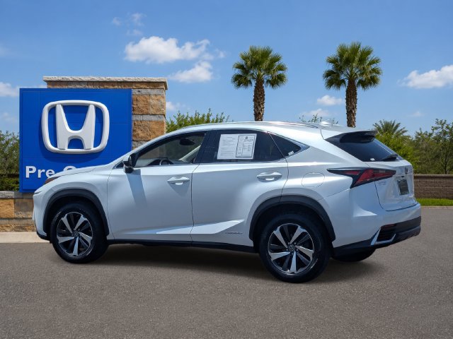 Used 2020 Lexus NX 300h AWD w/ Premium Package image 4