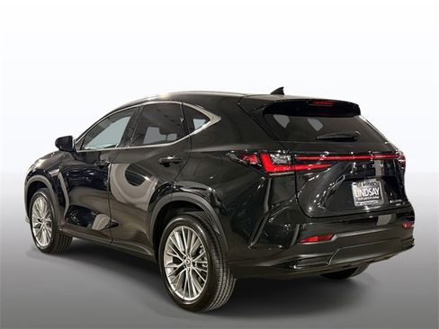 Used 2023 Lexus NX 300h 350h Luxury image 12