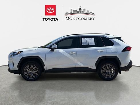 Used 2025 Toyota RAV4 XLE Premium image 6
