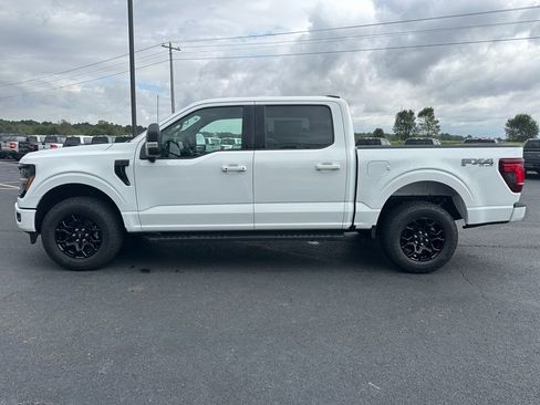 New 2025 Ford F150 XLT w/ Equipment Group 302A MID image 33