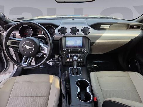 Used 2019 Ford Mustang Premium RWD image 12
