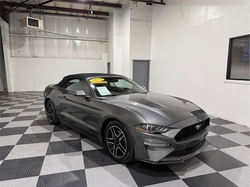 Used 2023 Ford Mustang Premium image 2