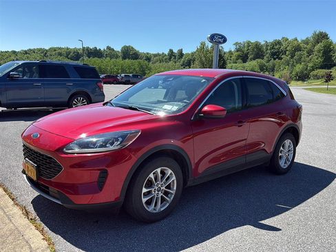 Used 2021 Ford Escape SE w/ Convenience Package AWD/4WD image 1