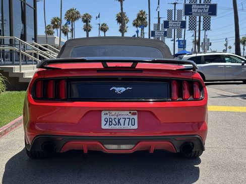 Used 2015 Ford Mustang Premium RWD image 5
