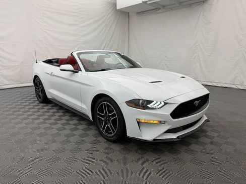Used 2018 Ford Mustang Premium w/ Equipment Group 201A RWD image 4