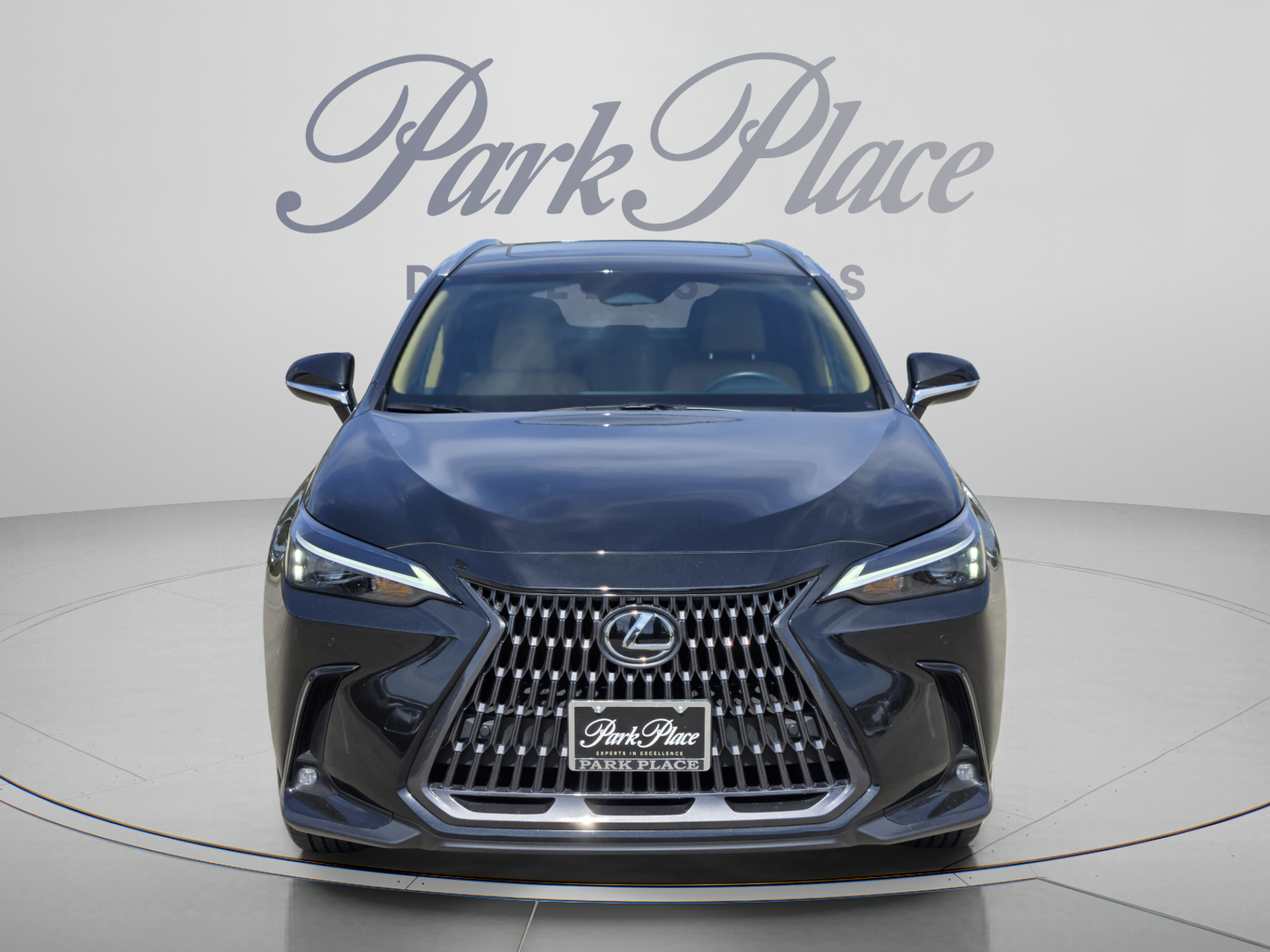 Certified 2026 Lexus NX 350 AWD w/ Cold Area Package image 8