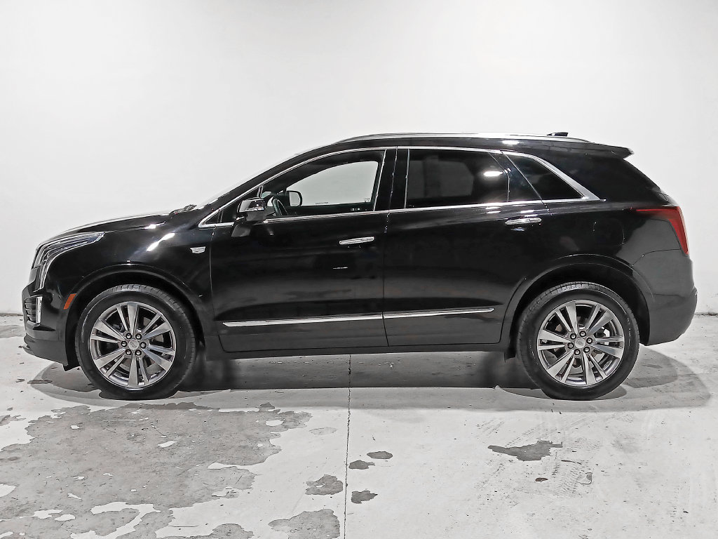 Used 2024 Cadillac XT5 Premium Luxury AWD/4WD image 4