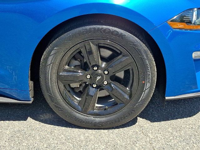 Used 2019 Ford Mustang Coupe RWD image 8