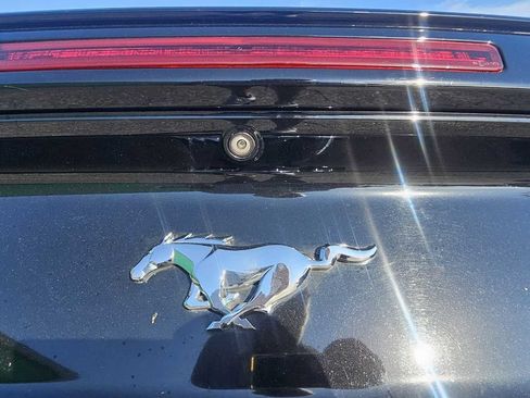 Used 2017 Ford Mustang Premium RWD image 6