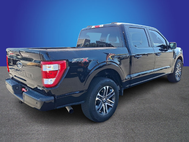 Used 2023 Ford F150 XL w/ STX Appearance Package RWD image 4