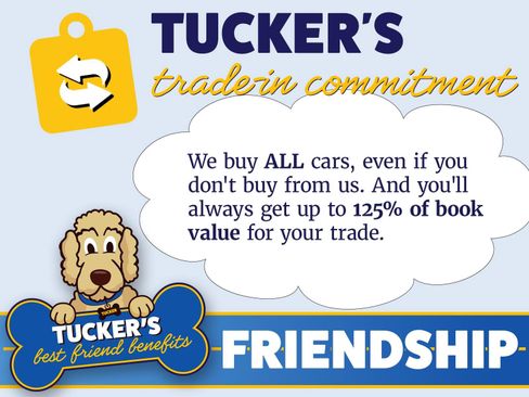 Used 2024 Subaru Forester Wilderness AWD/4WD image 17