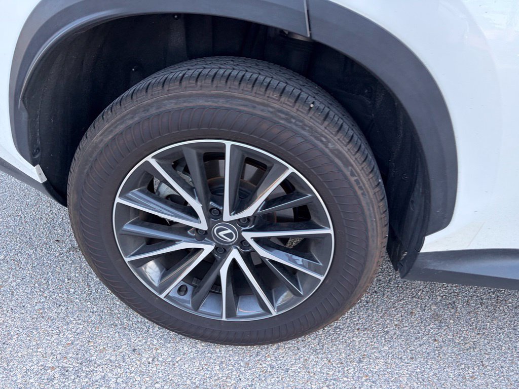 Certified 2024 Lexus NX 250 FWD w/ Cold Area Package image 8