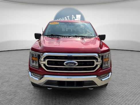 Used 2021 Ford F150 XLT w/ Equipment Group 302A High AWD/4WD image 9