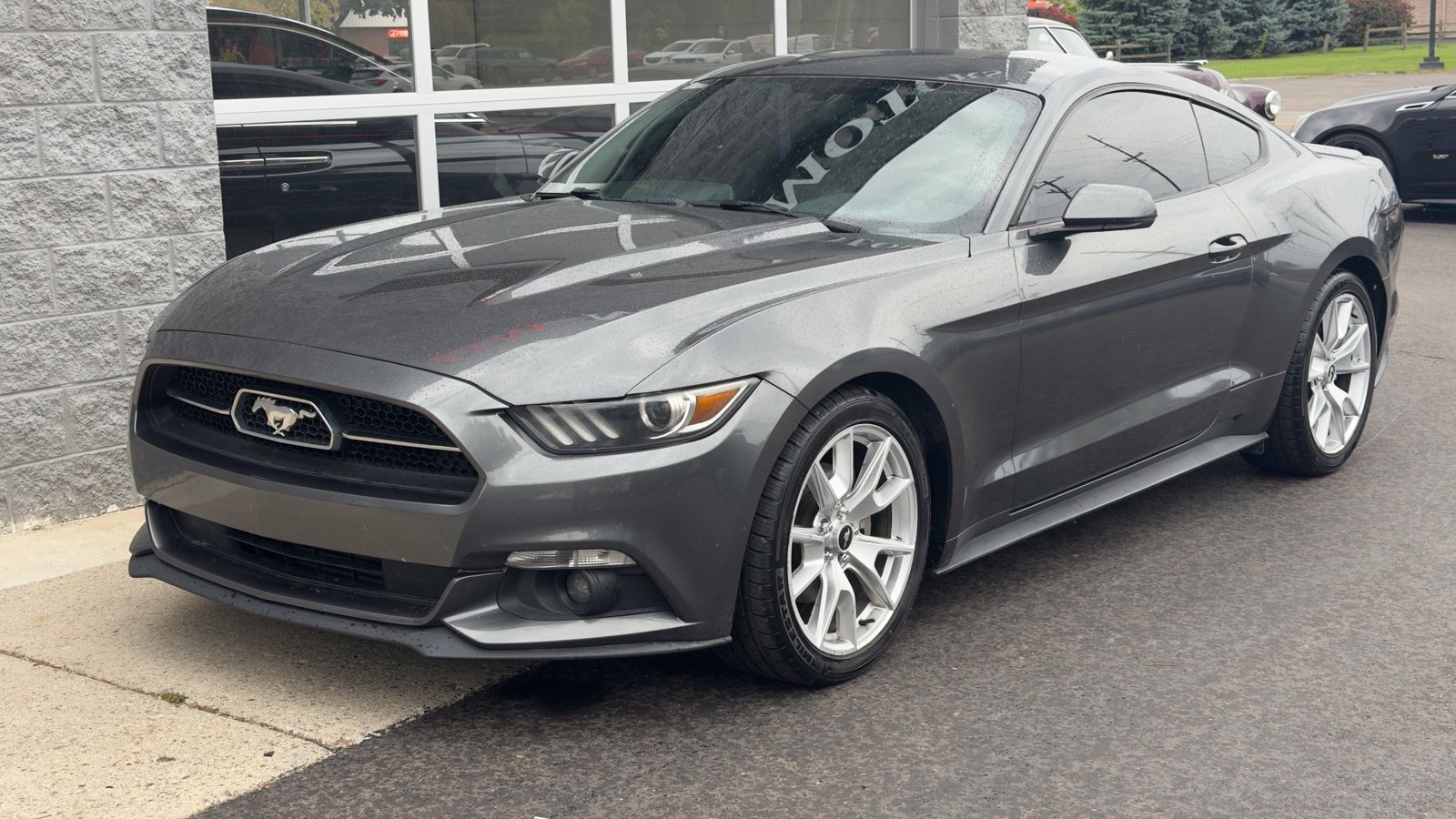 Used 2015 Ford Mustang Premium w/ Equipment Group 201A RWD image 1