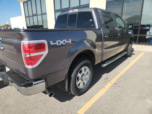 Used 2013 Ford F150 XLT w/ Luxury Equipment Group AWD/4WD image 5
