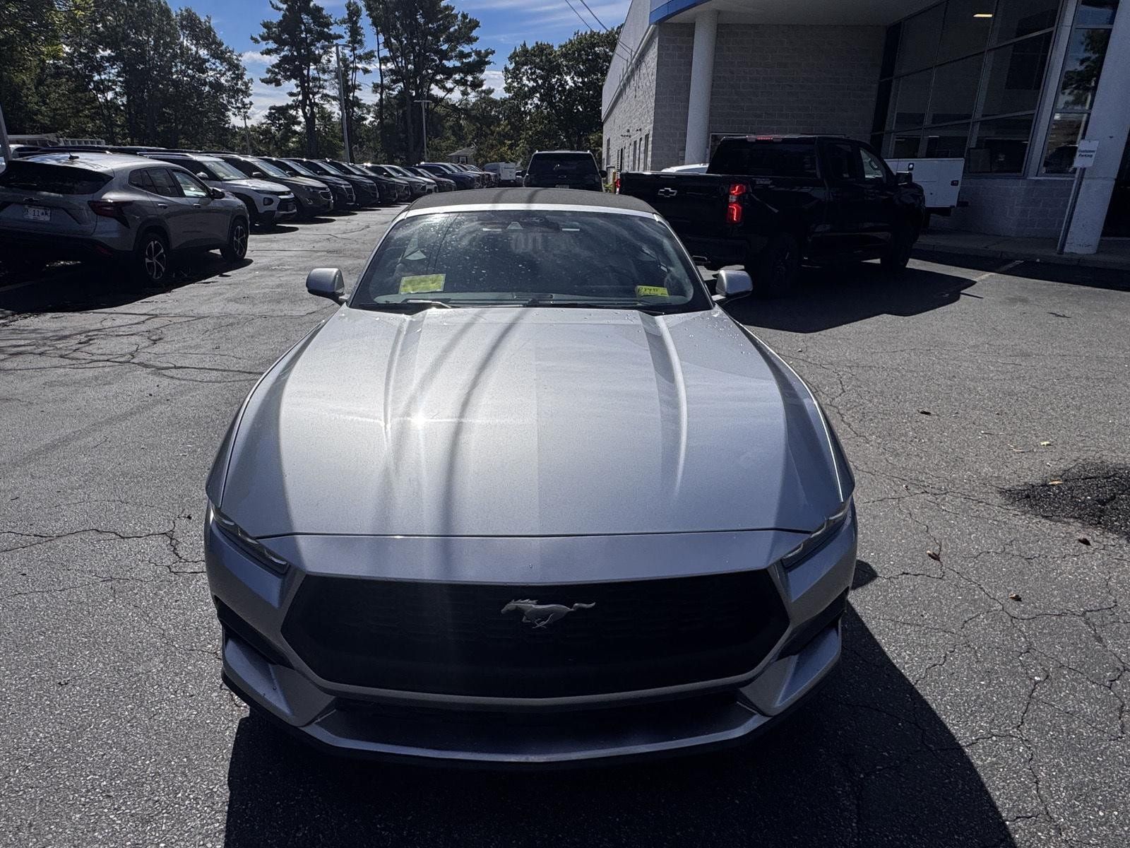 Used 2024 Ford Mustang Premium RWD image 2