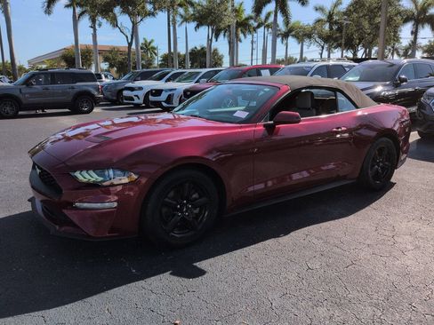 Used 2019 Ford Mustang Convertible RWD image 8