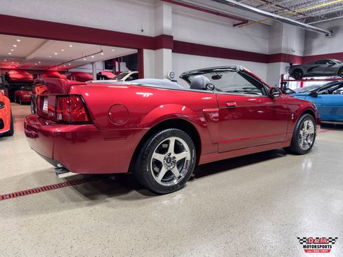 Used 2003 Ford Mustang SVT Cobra Convertible RWD image 5