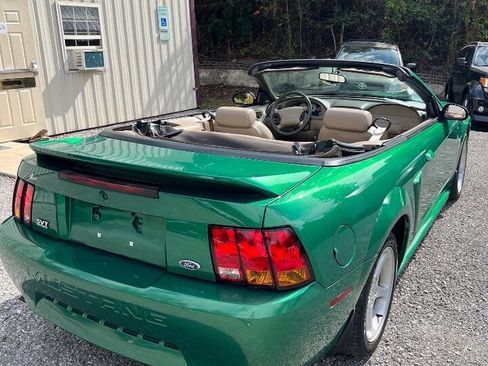Used 1999 Ford Mustang Cobra image 15