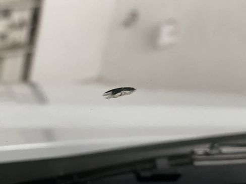 Used 2025 Chevrolet Express 2500 Extended w/ Driver Convenience Package image 28