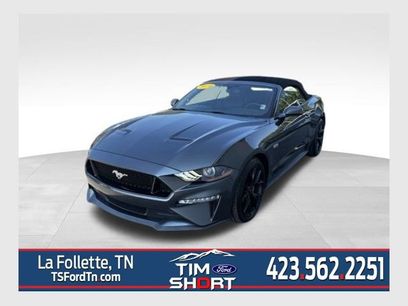 Used 2019 Ford Mustang GT Premium w/ Equipment Group 401A