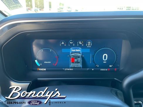 Used 2024 Ford F250 Platinum w/ FX4 Off-Road Package image 4