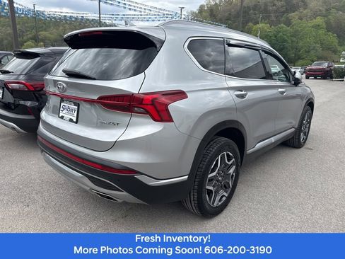 Used 2023 Hyundai Santa Fe Limited AWD/4WD image 6