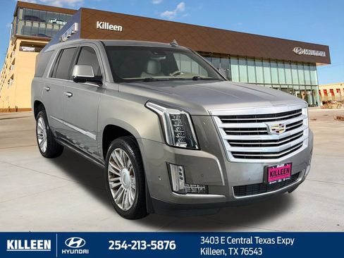 Used 2019 Cadillac Escalade Platinum AWD/4WD image 1
