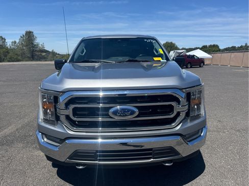 Used 2021 Ford F150 XLT w/ Equipment Group 302A High AWD/4WD image 2