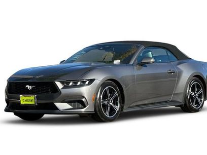 Used 2024 Ford Mustang Premium