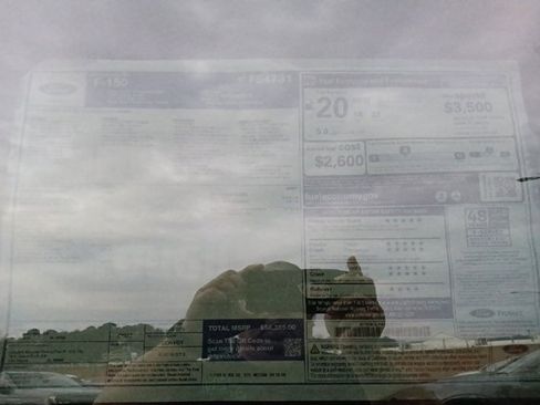 New 2025 Ford F150 XLT w/ Equipment Group 301A Standard image 30