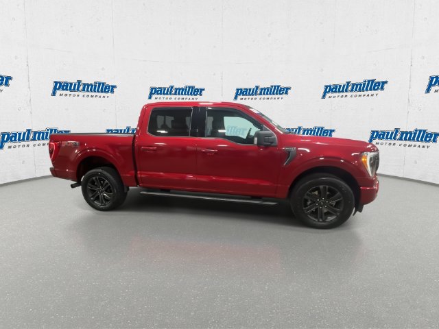Used 2021 Ford F150 XLT w/ Equipment Group 302A High AWD/4WD image 13