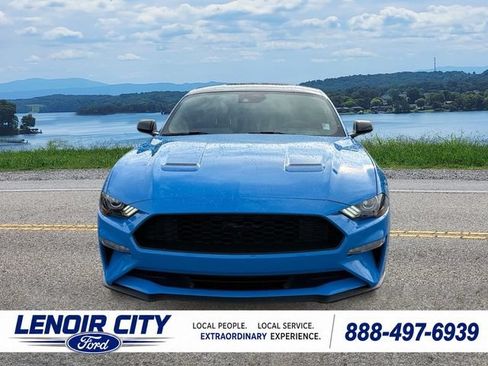 Used 2023 Ford Mustang Coupe w/ Equipment Group 101A RWD image 8