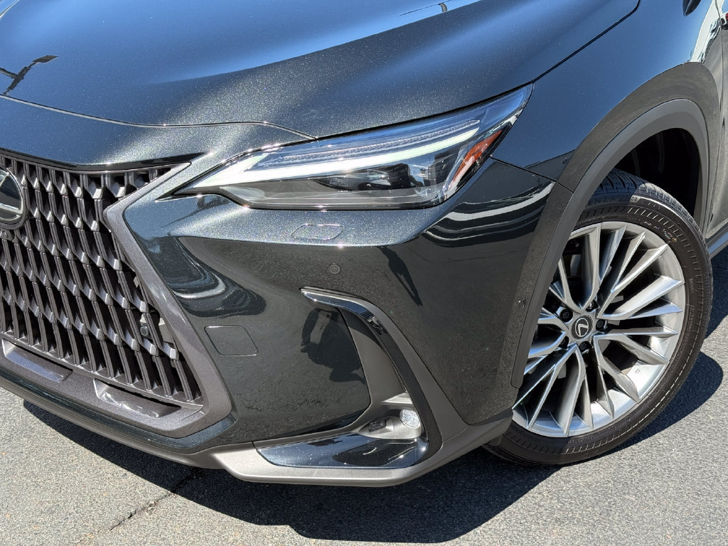 Used 2025 Lexus NX 350h AWD w/ Cold Area Package image 3