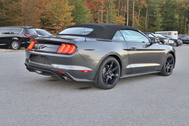 Used 2019 Ford Mustang Convertible w/ Equipment Group 101A RWD image 5