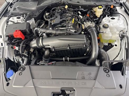 Used 2026 Ford Mustang Coupe RWD image 18