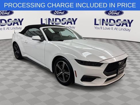 Certified 2025 Ford Mustang Premium RWD image 1
