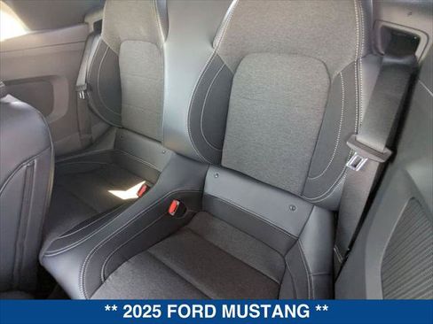 Certified 2025 Ford Mustang Convertible w/ Mustang Nite Pony Package RWD image 21