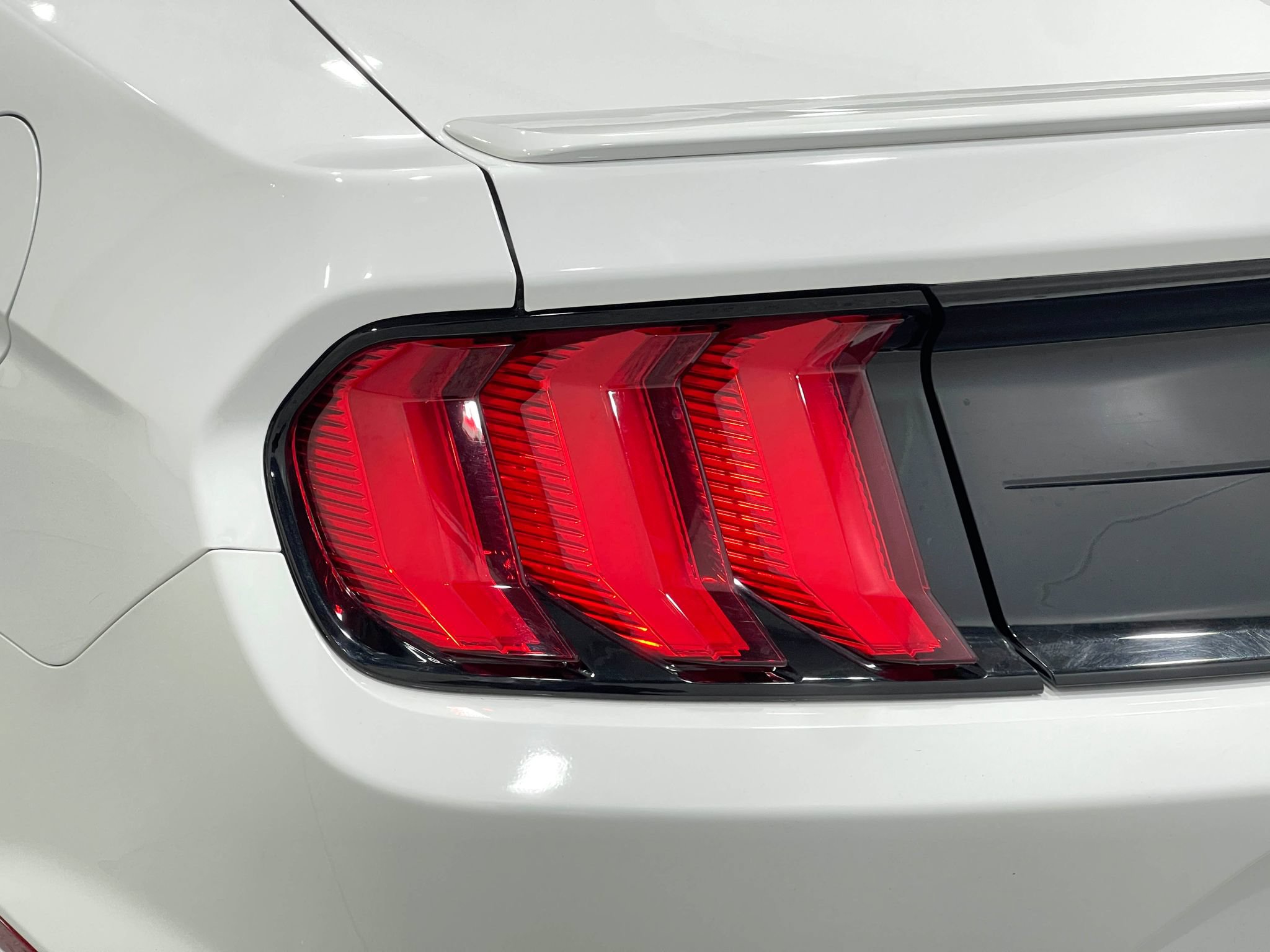 Used 2019 Ford Mustang GT Premium w/ Equipment Group 401A RWD image 32