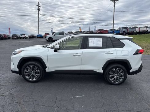 Used 2025 Toyota RAV4 XLE Premium AWD/4WD image 3