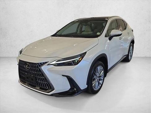 Used 2025 Lexus NX 350 AWD w/ Rear Seat Package image 1
