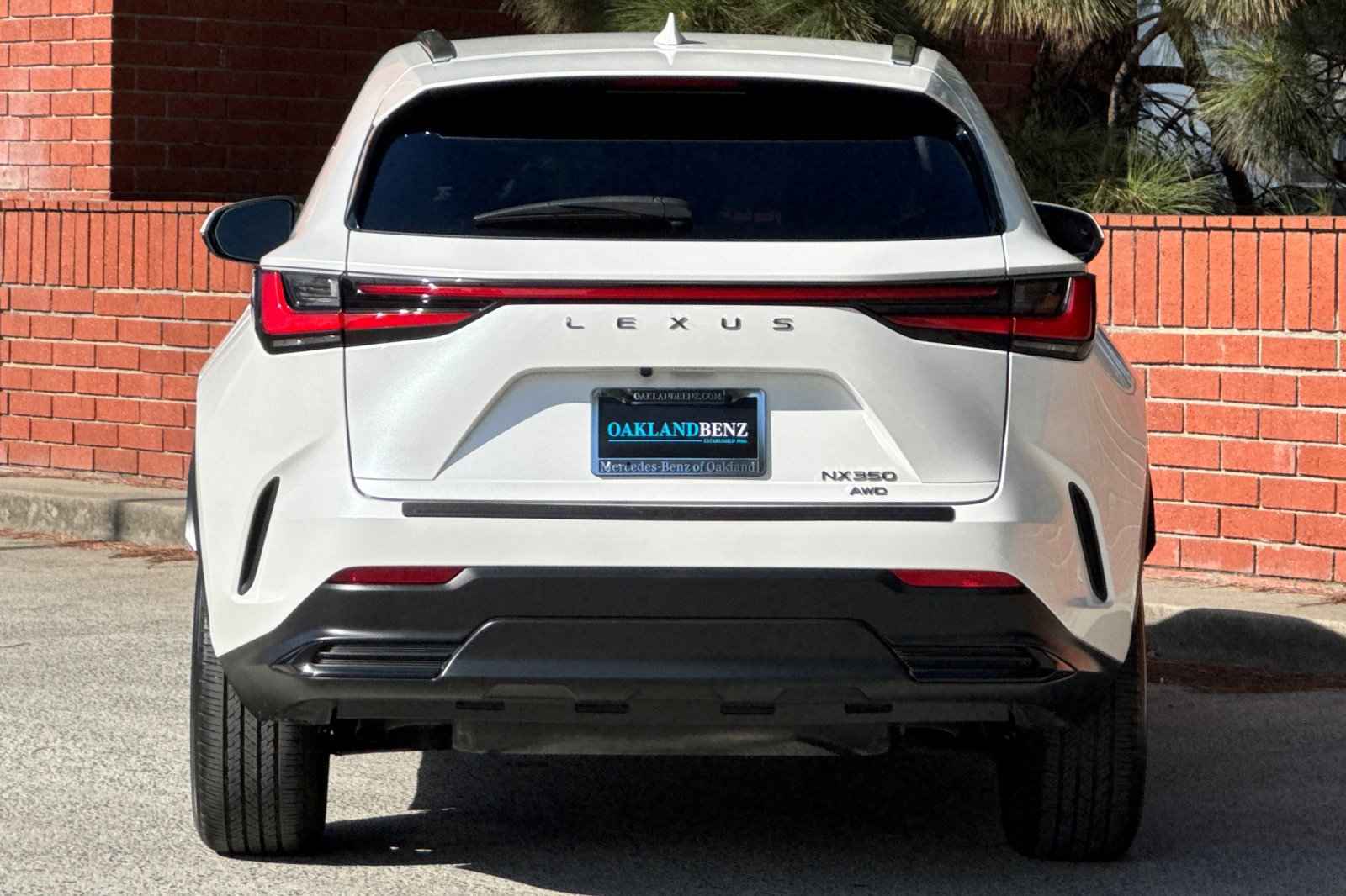 Used 2024 Lexus NX 350 AWD w/ Cold Area Package image 5