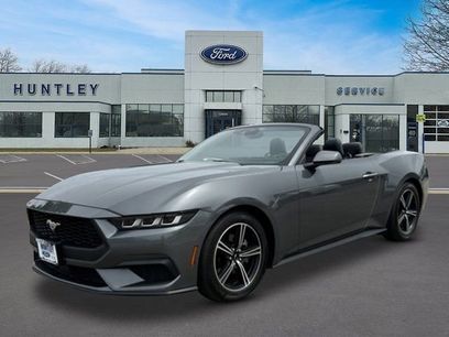 Used 2024 Ford Mustang Premium