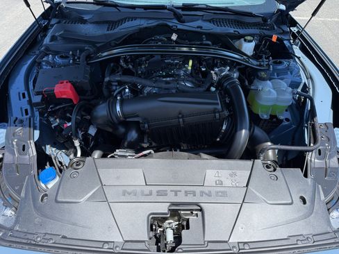 New 2026 Ford Mustang Premium w/ Mustang Nite Pony Package RWD image 20