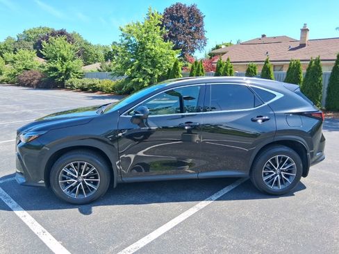 Used 2024 Lexus NX 350 AWD w/ Cold Area Package image 2