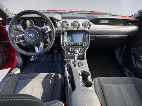 Used 2019 Ford Mustang Coupe w/ Equipment Group 101A image 12