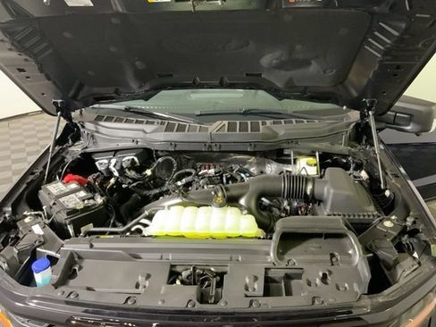 New 2025 Ford F150 XLT w/ Equipment Group 302A MID AWD/4WD image 35