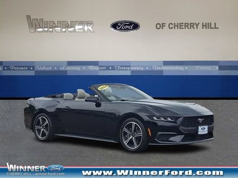 Used 2024 Ford Mustang Premium RWD image 1