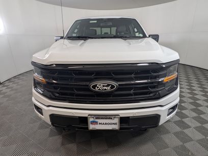 New 2025 Ford F150 XLT w/ Equipment Group 303A High